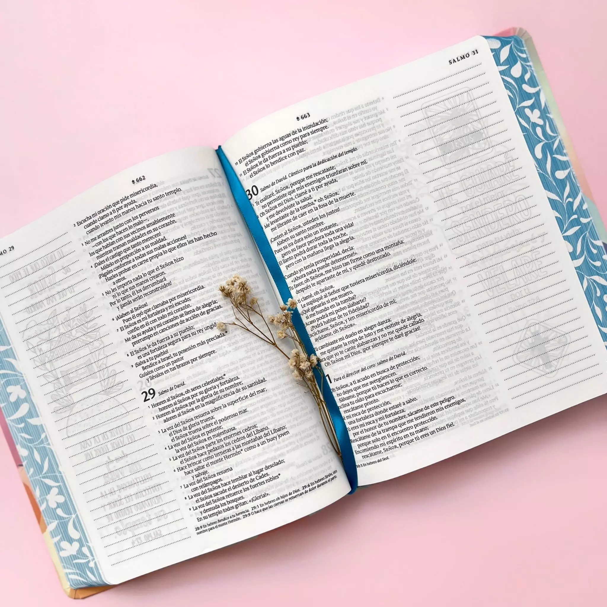 Biblia Inspira NTV- Paraiso Floral (3)