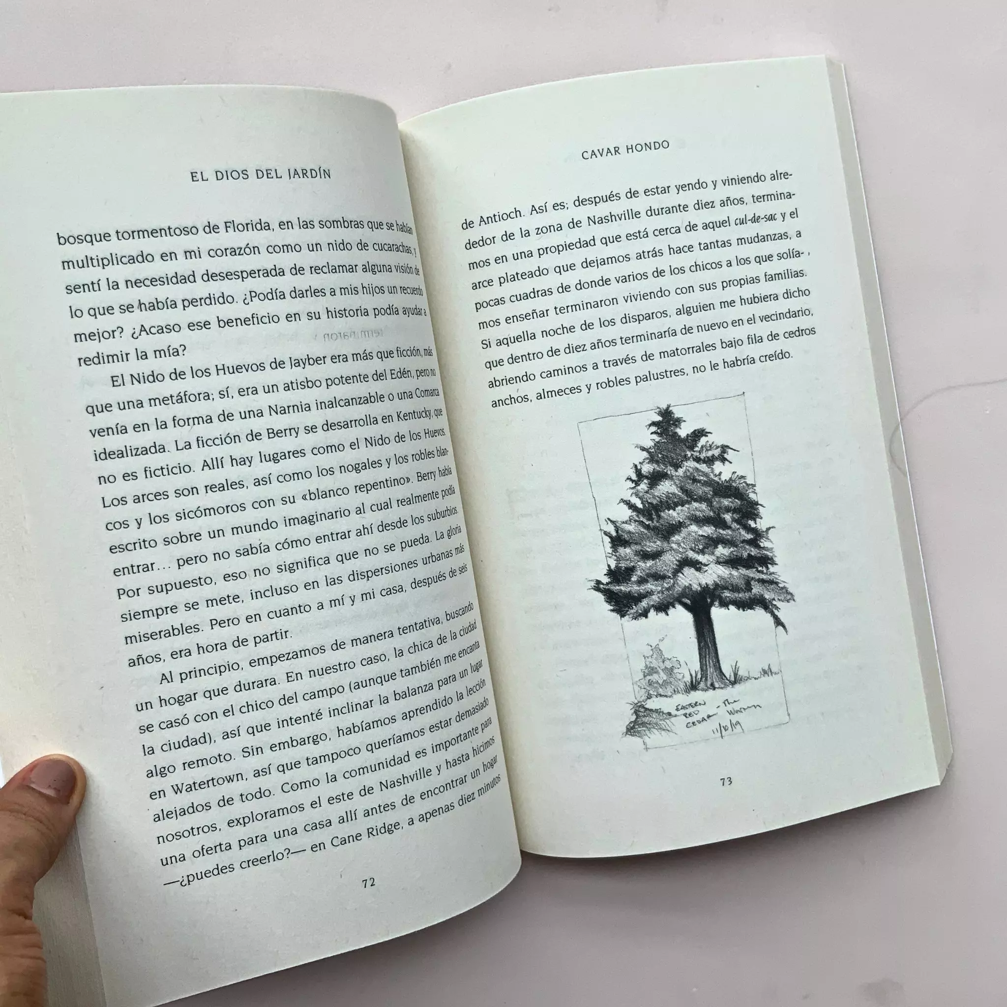 Libro El Dios del jardín (3)