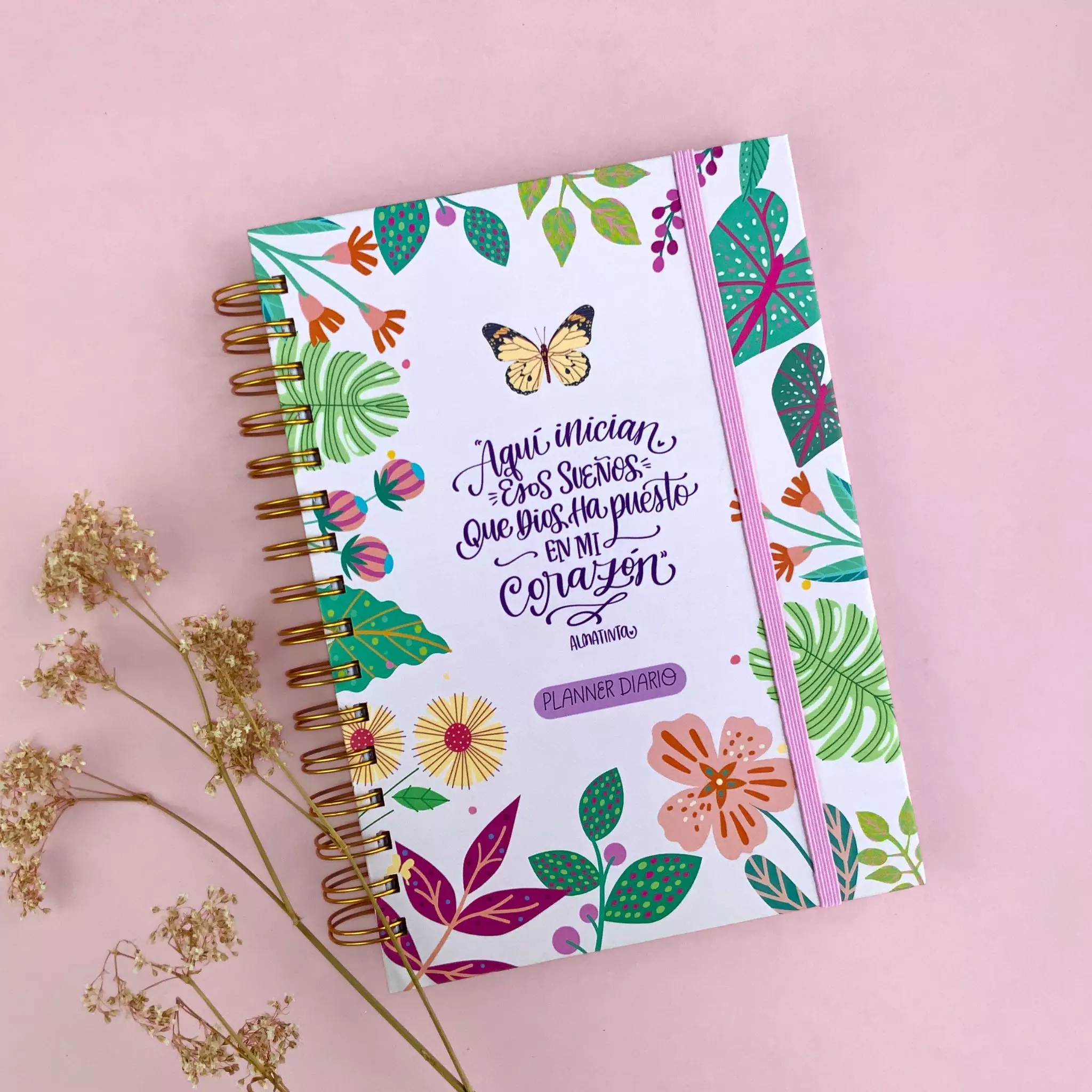 Planeador diario Sueños de Dios (2)