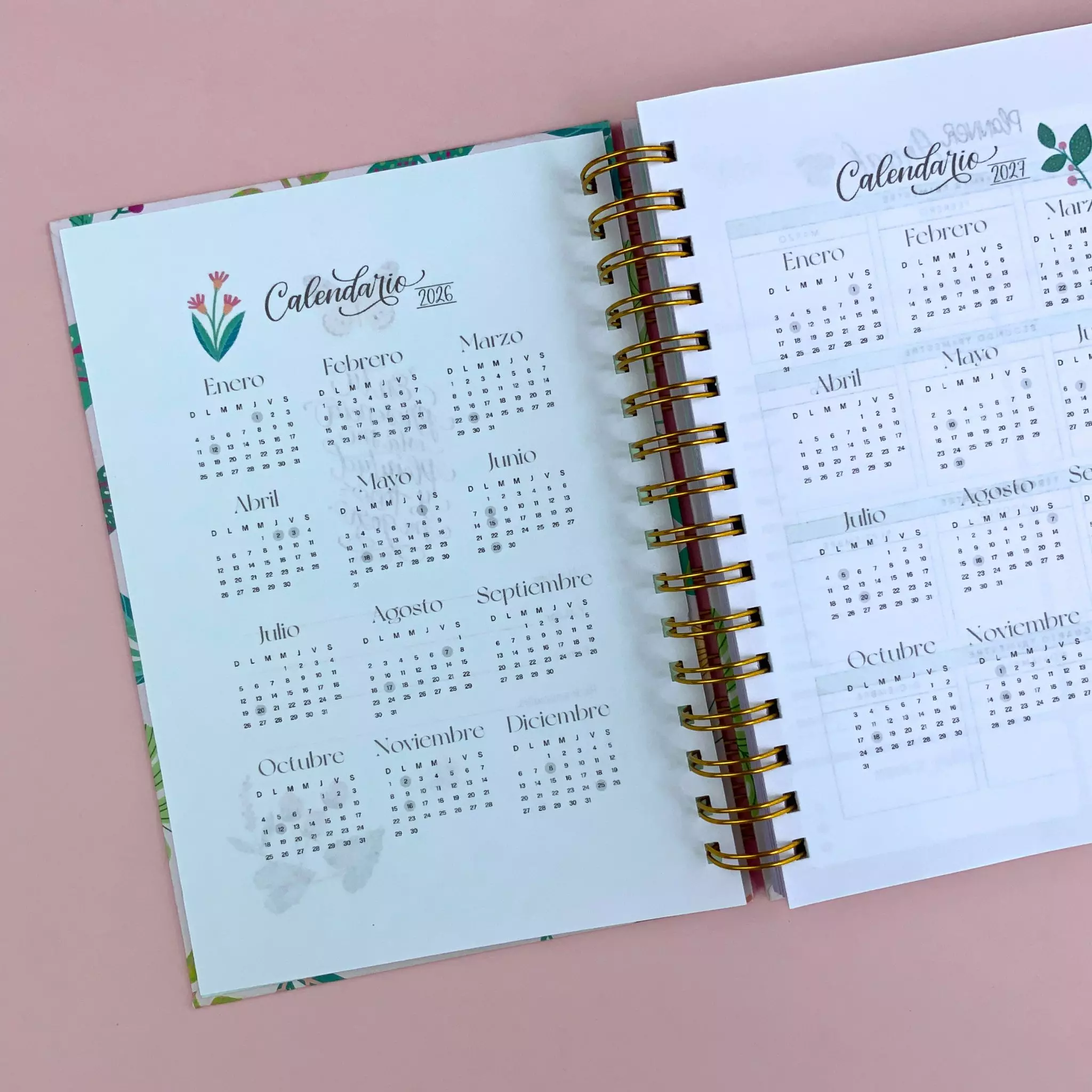 Planeador diario Sueños de Dios (4)