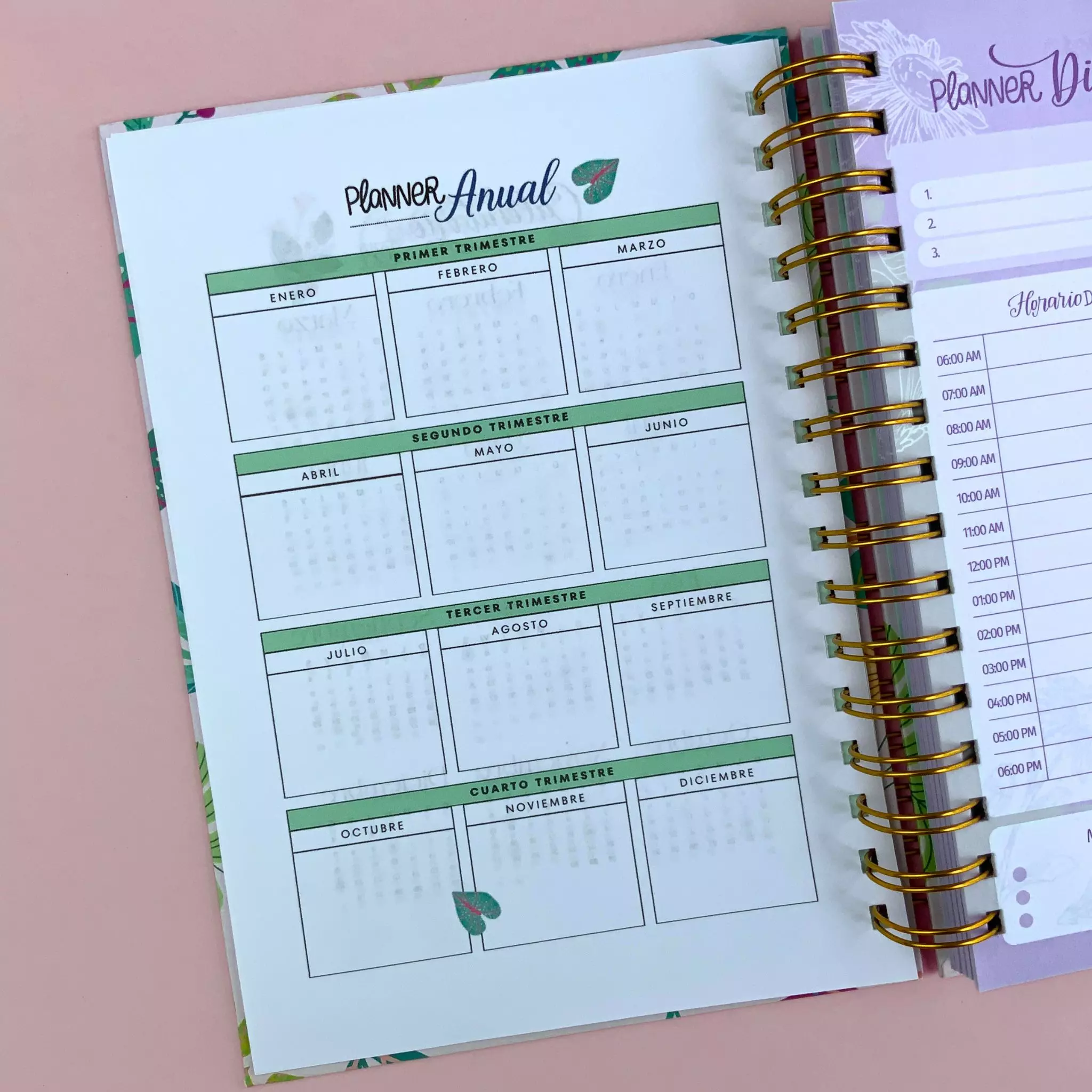 Planeador diario Sueños de Dios (5)