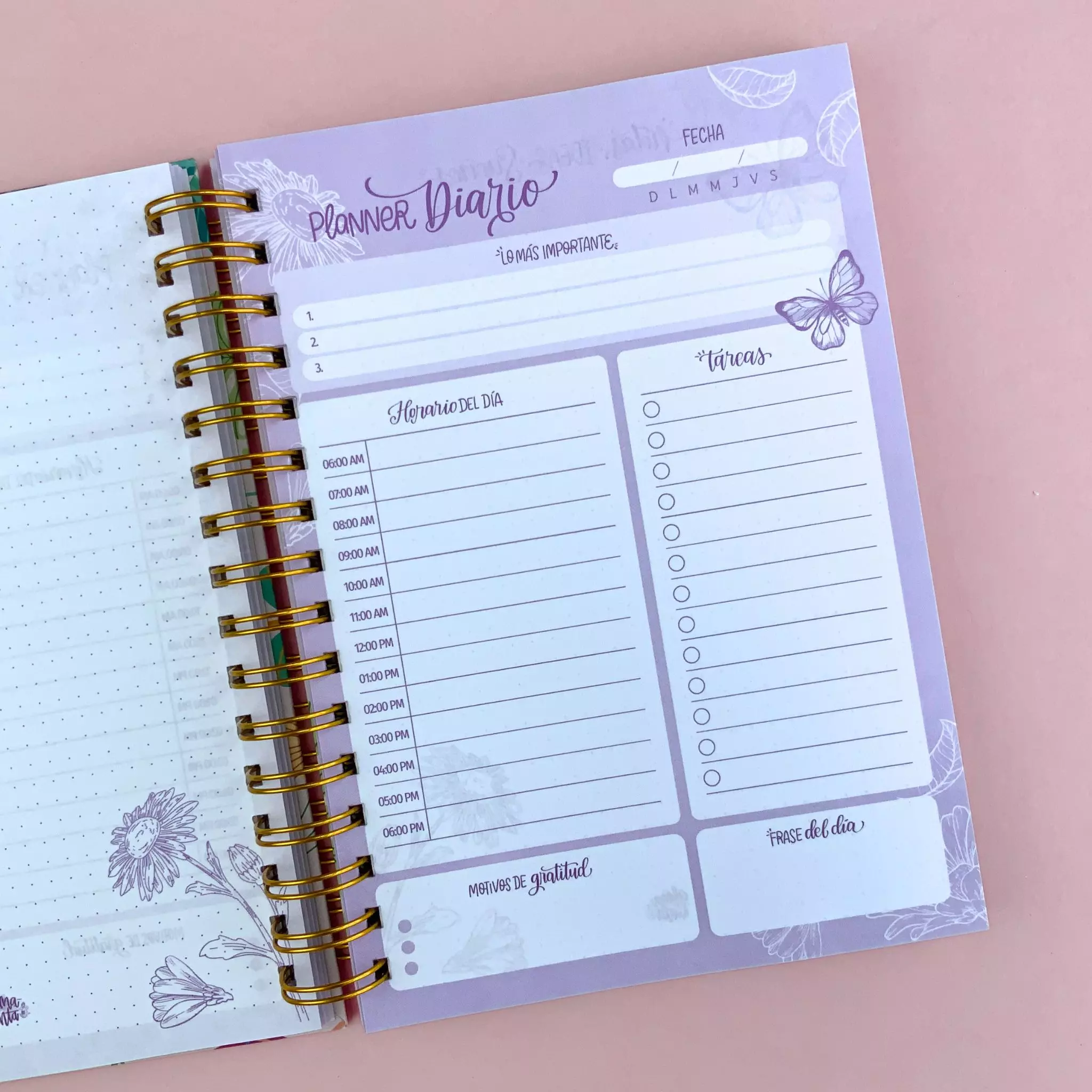 Planeador diario Sueños de Dios (6)