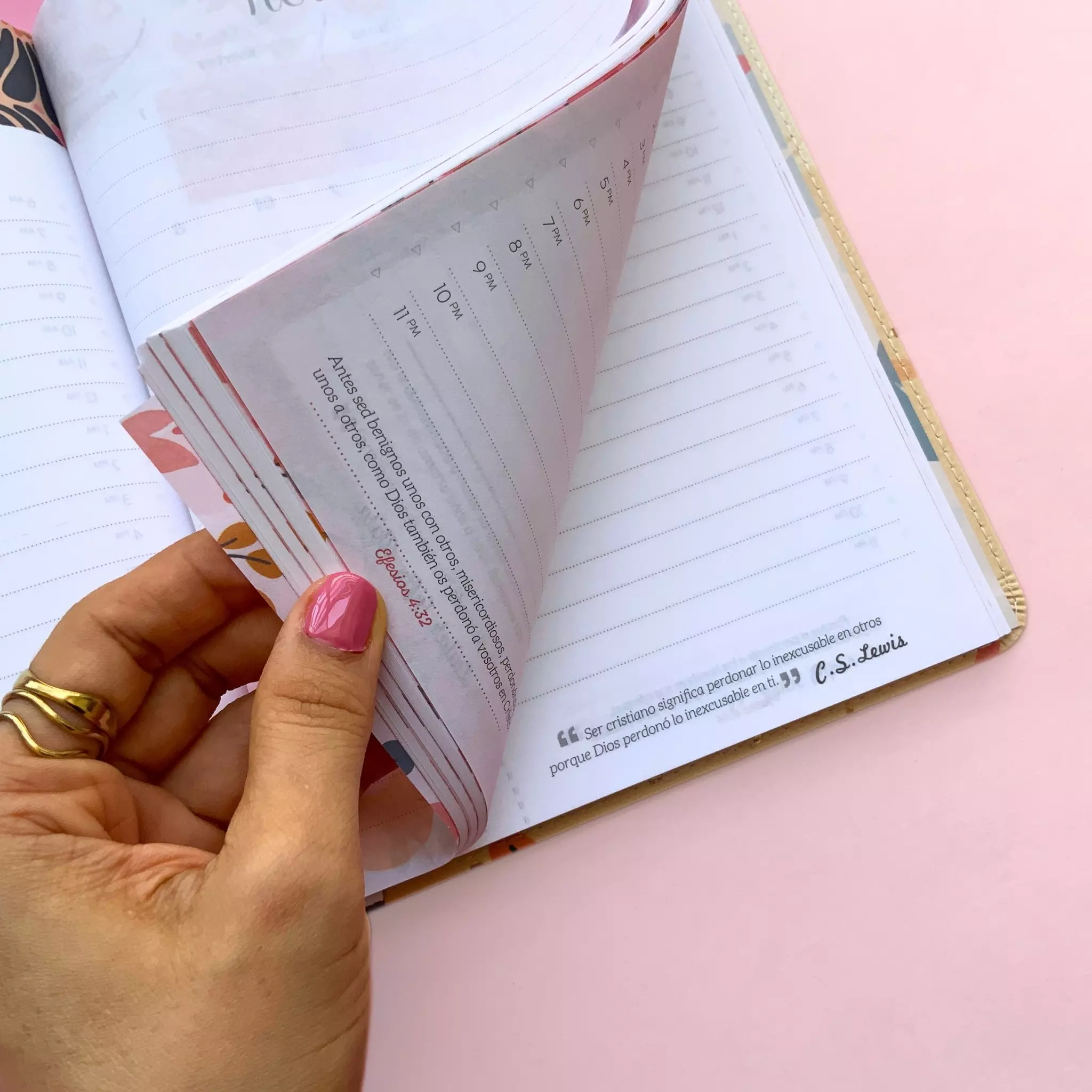 Agenda 2026 día por página tipo piel (7)