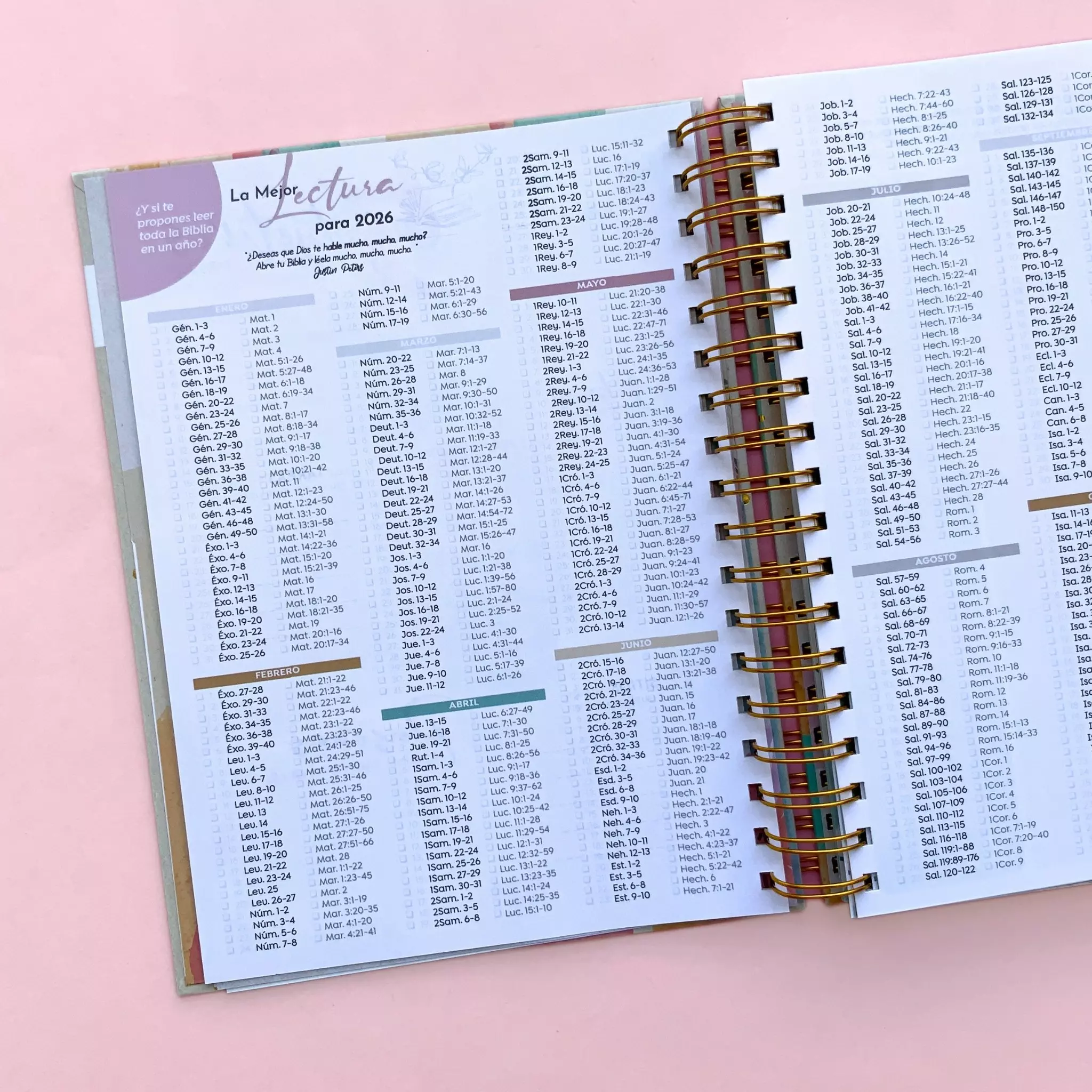 Planner semanal 2026 anillado (16)