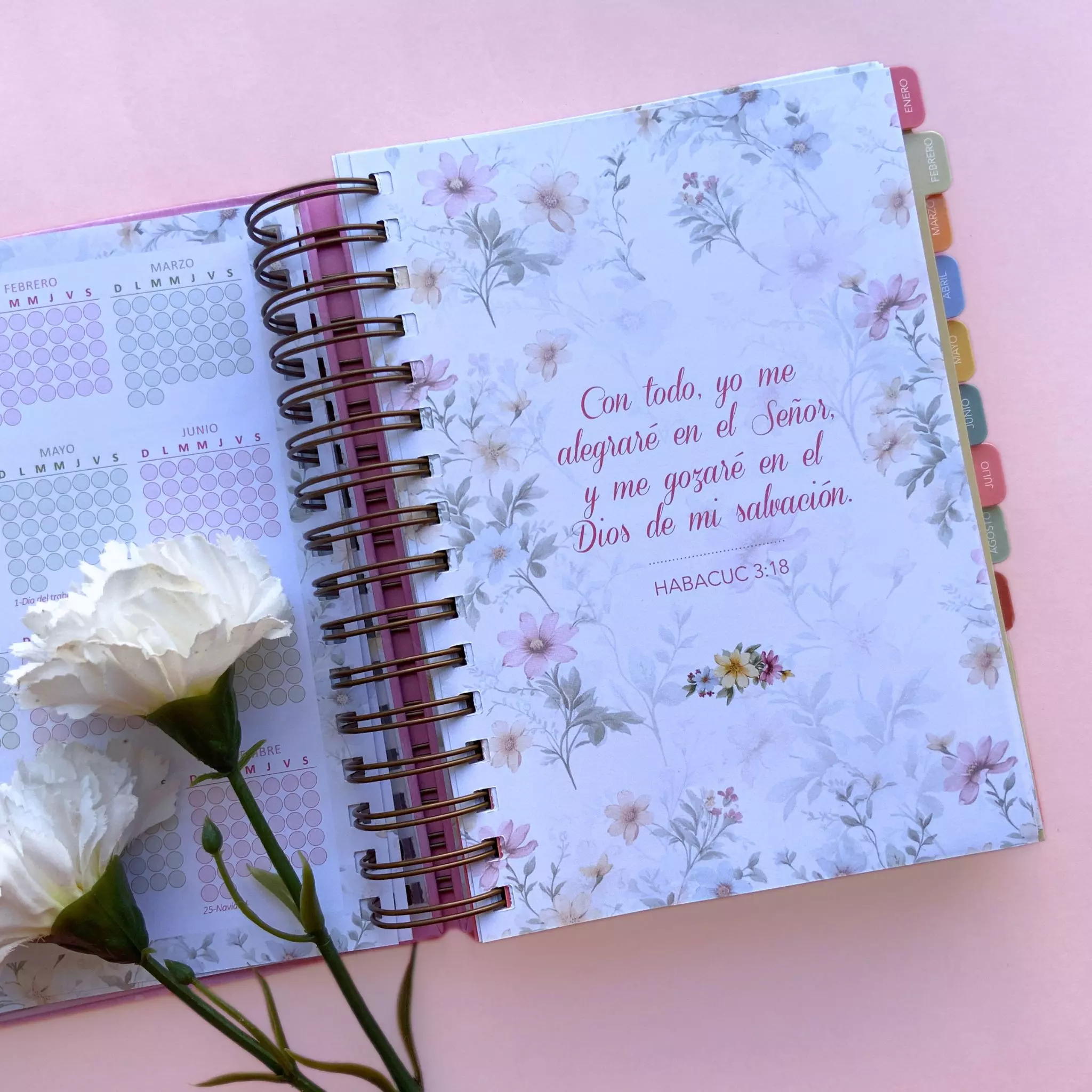 Agenda devocional Mi plan con DIos (2)