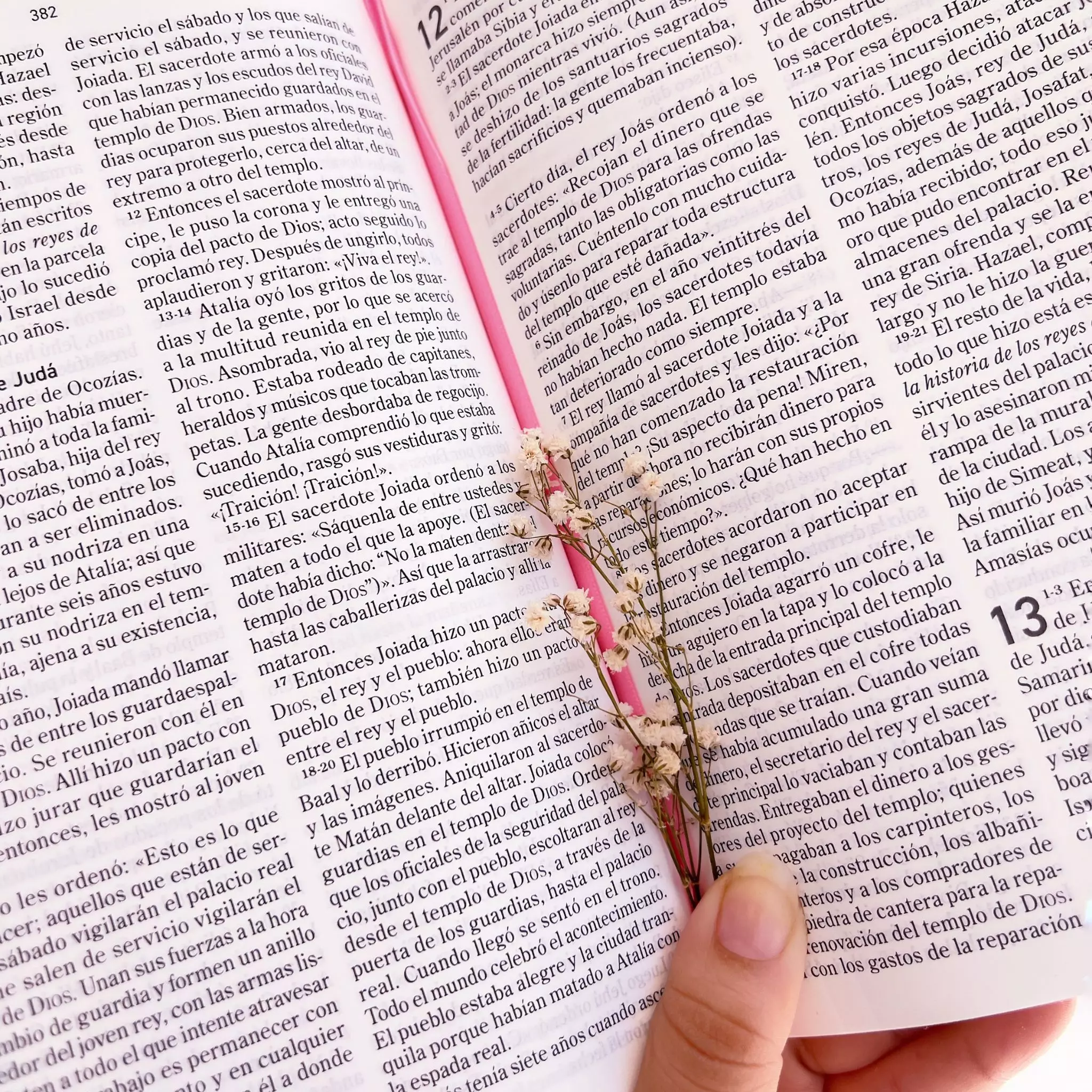 Biblia El Mensaje Rosa Floral (2)