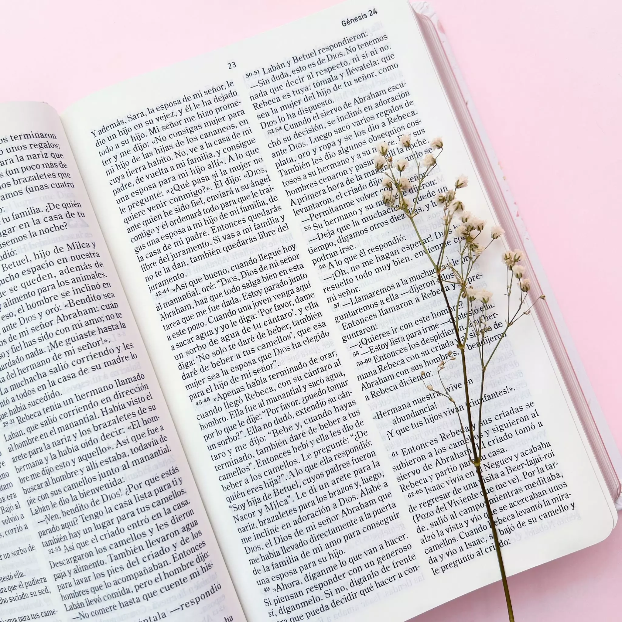 Biblia El Mensaje Rosa Floral (6)