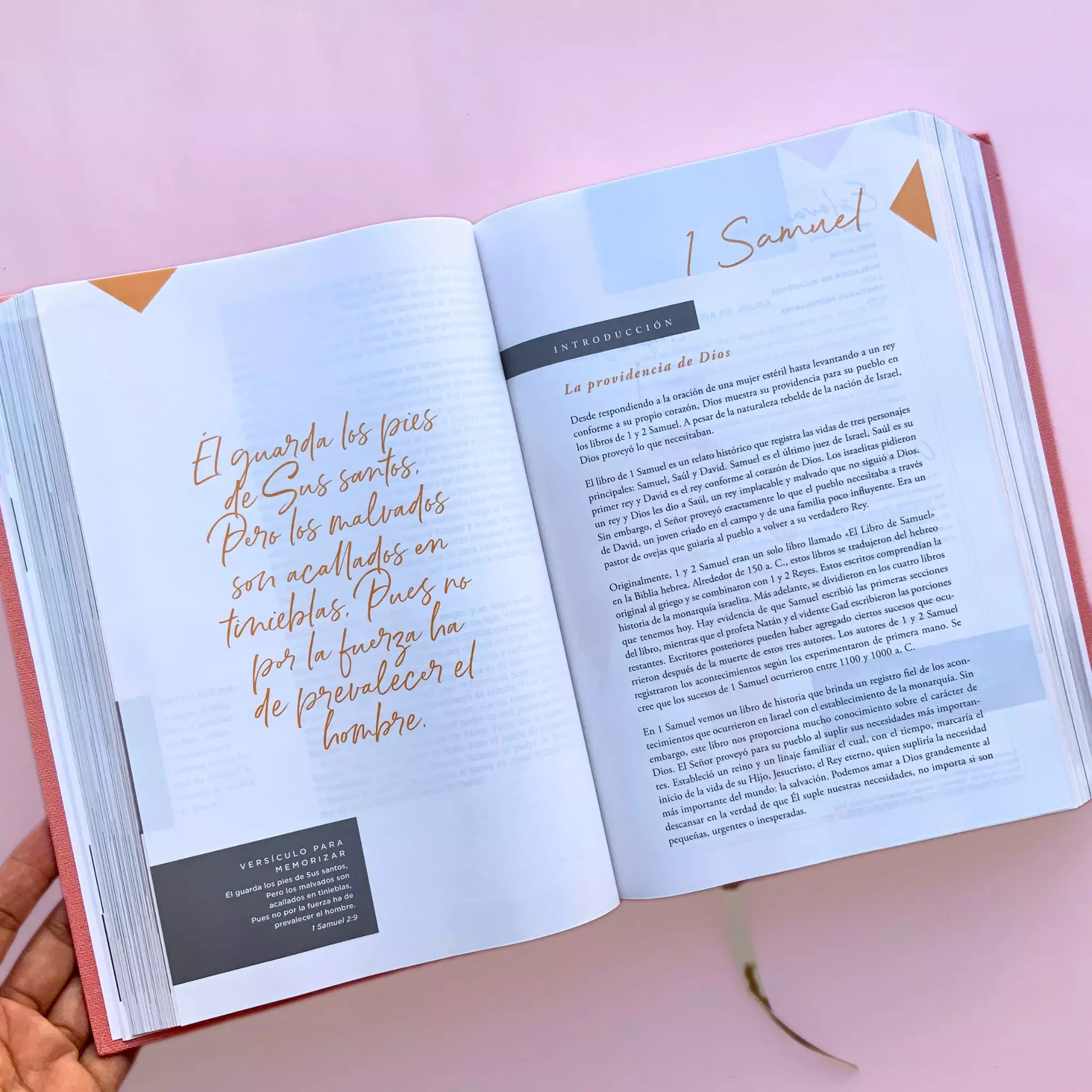 Biblia NBLA Ama a Dios grandemente (1)