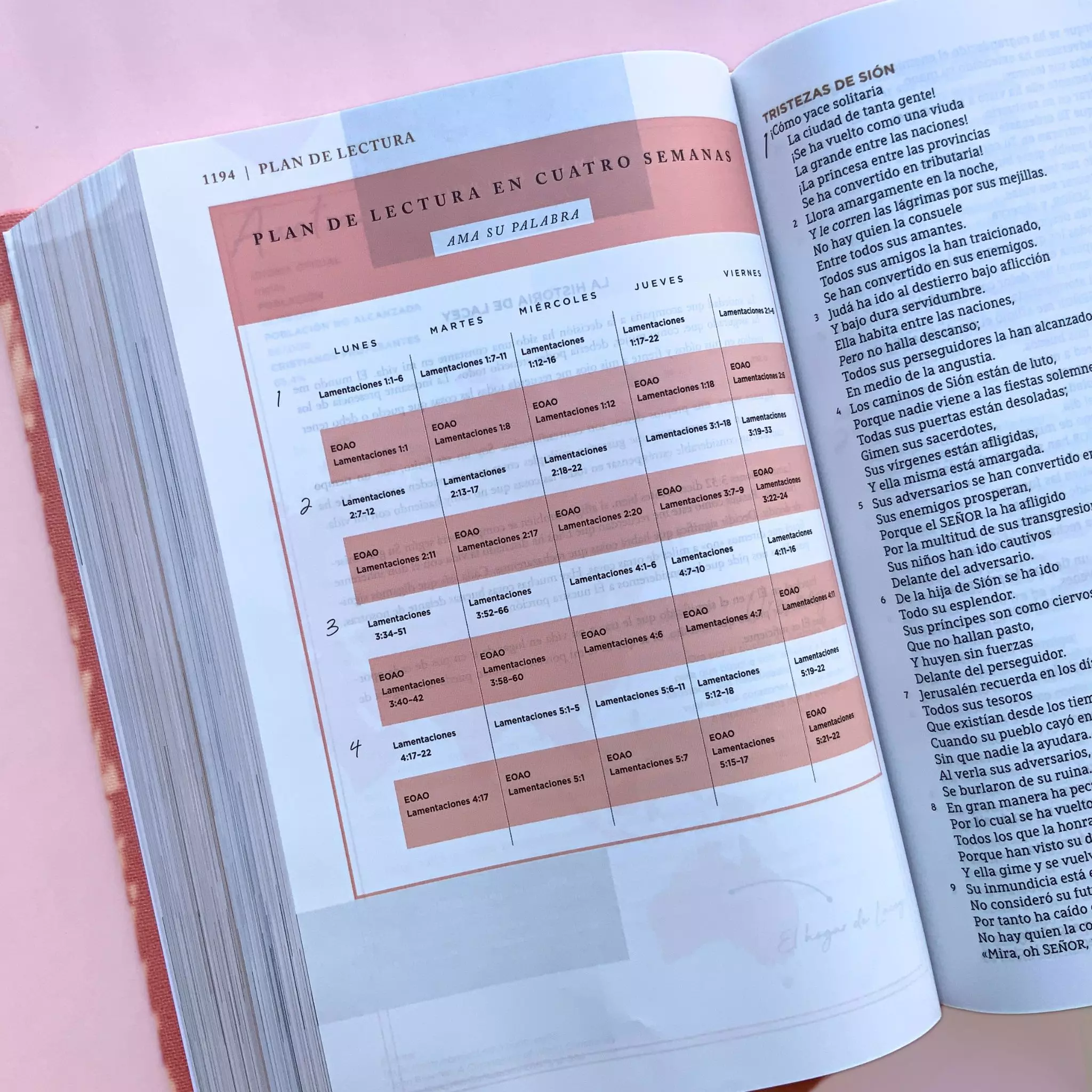 Biblia NBLA Ama a Dios grandemente (10)