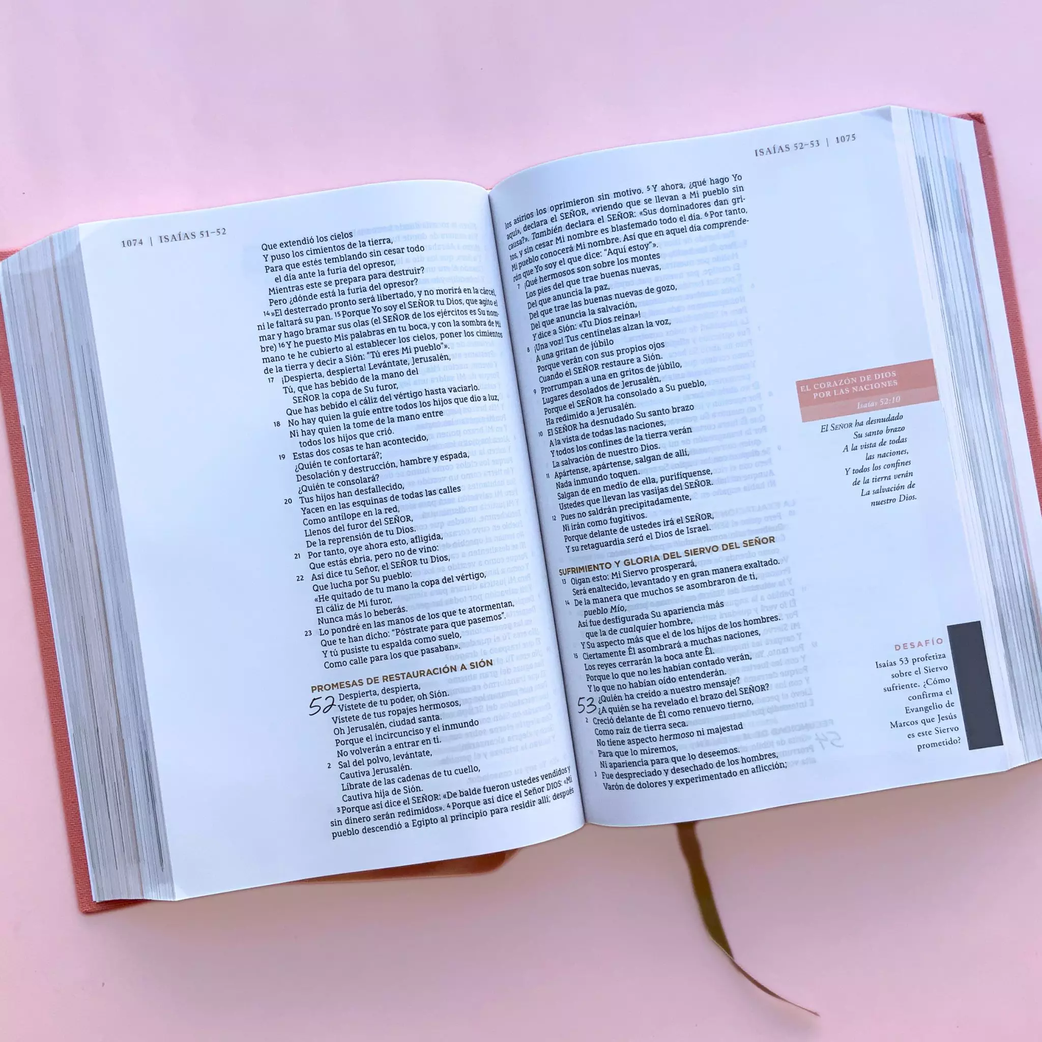 Biblia NBLA Ama a Dios grandemente (11)