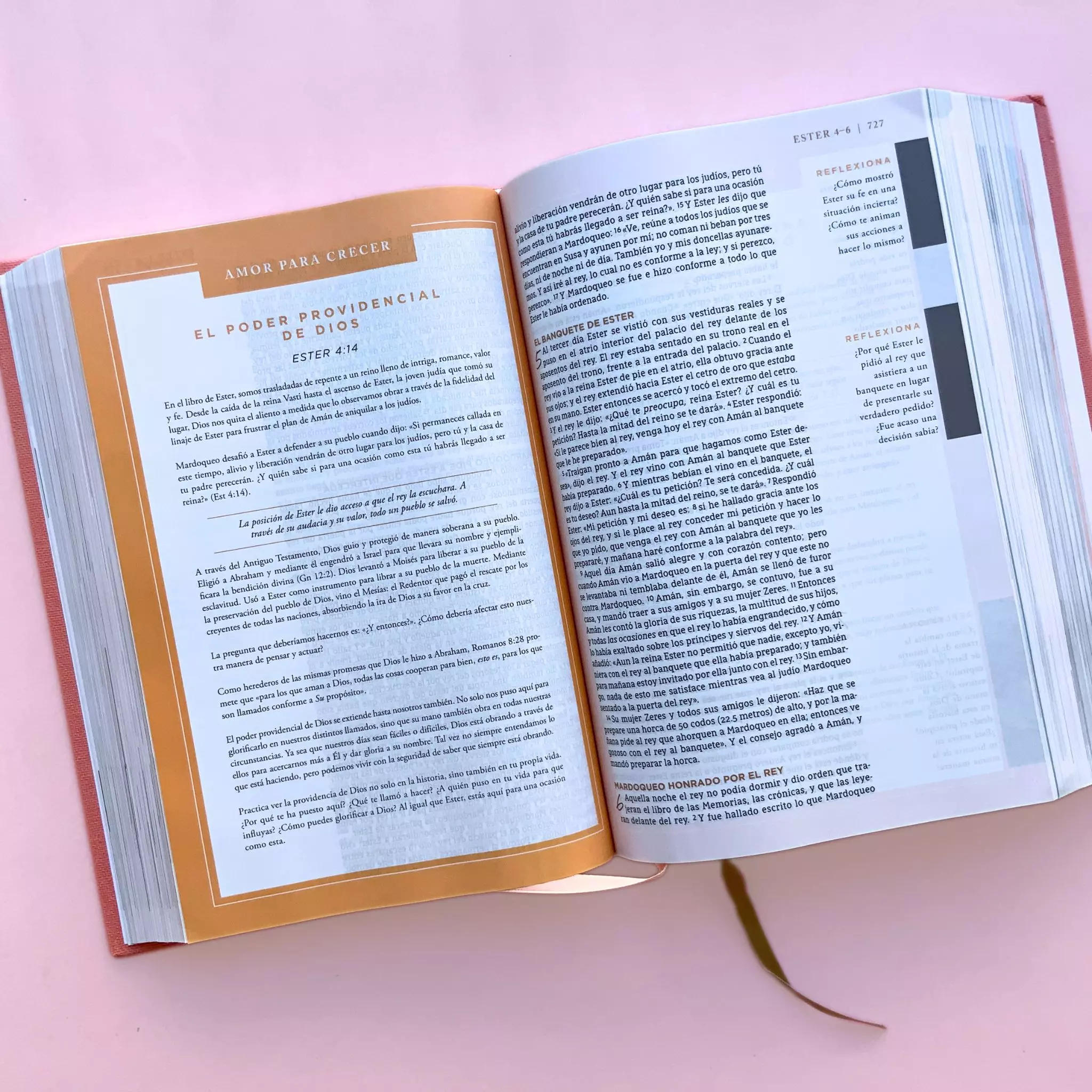 Biblia NBLA Ama a Dios grandemente (12)