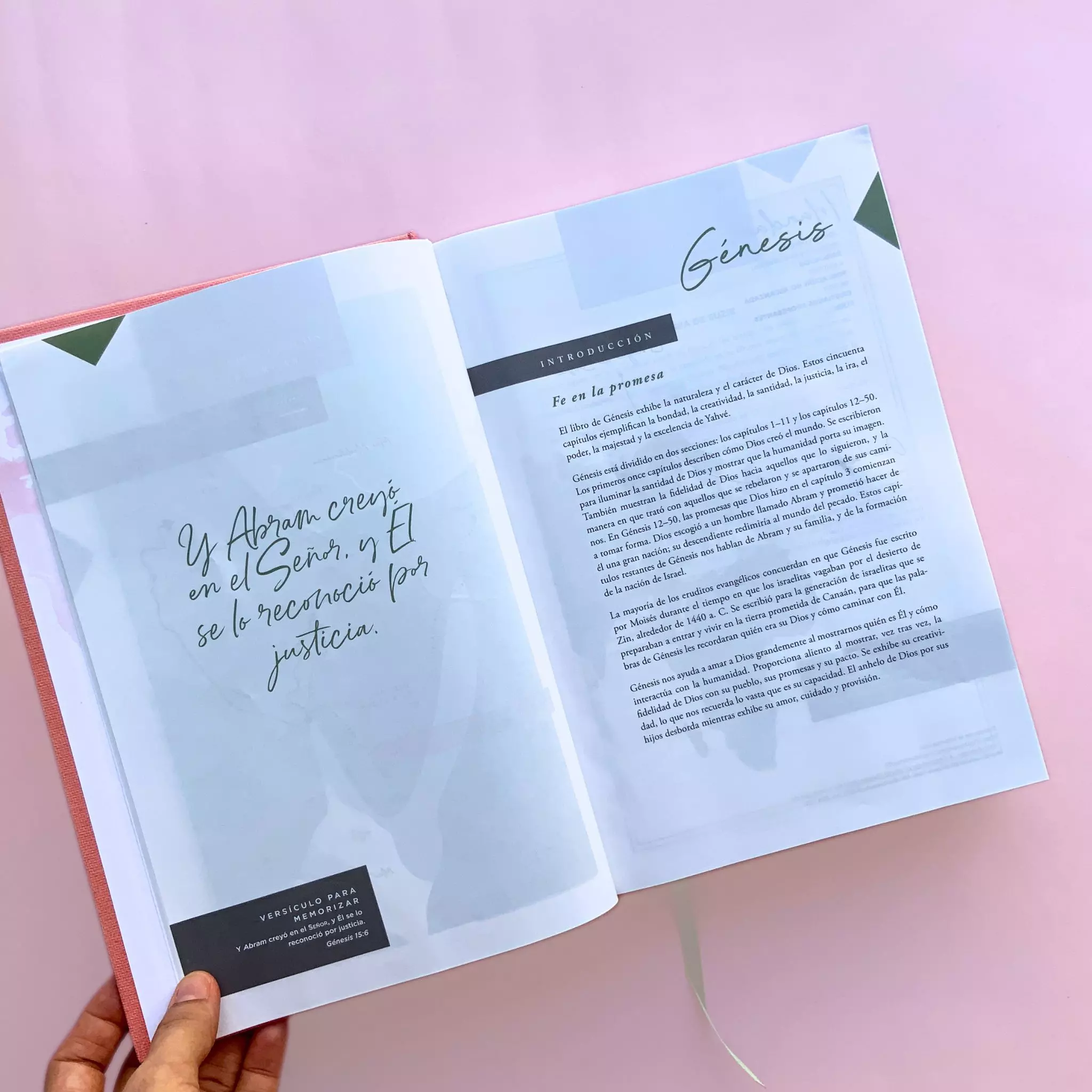 Biblia NBLA Ama a Dios grandemente (13)