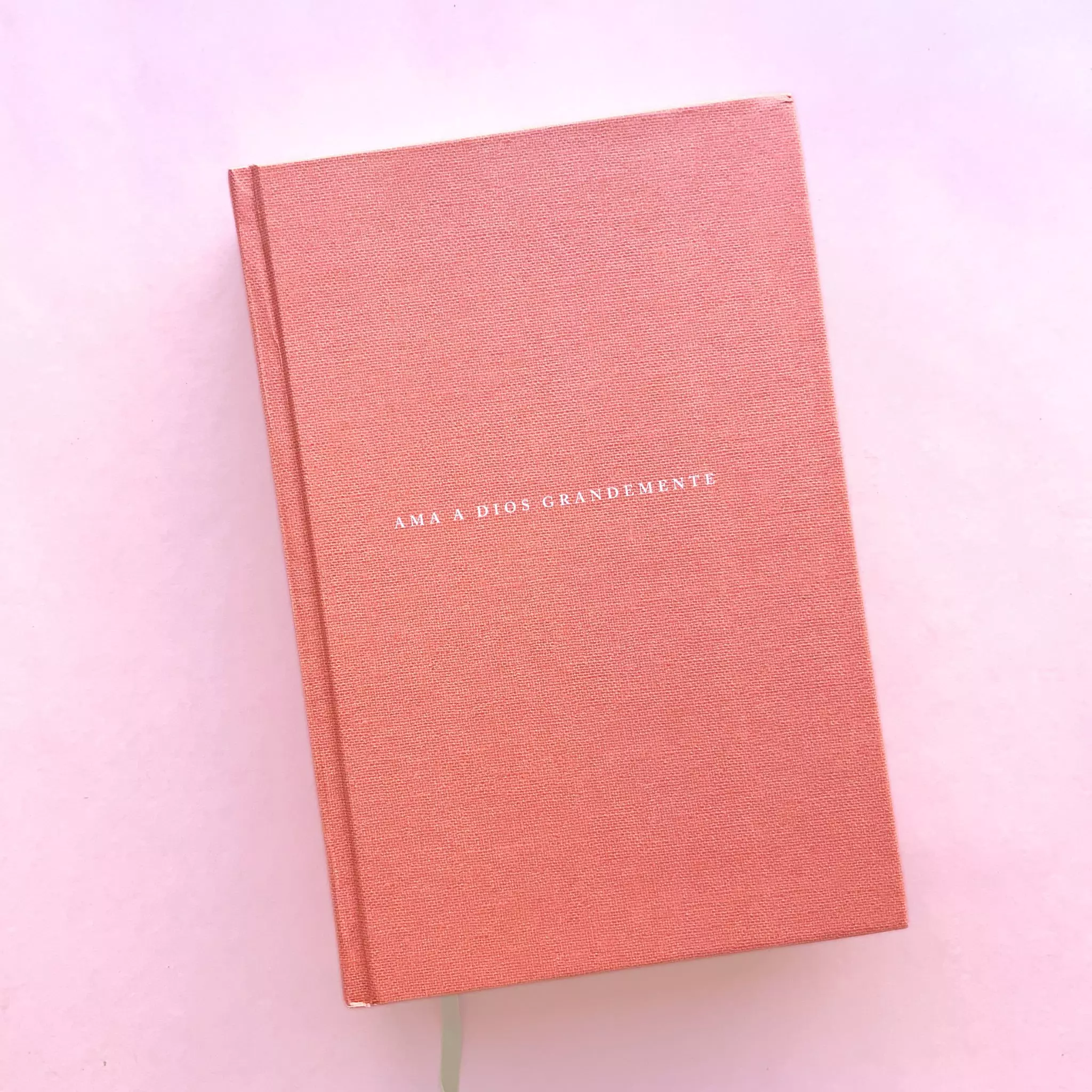 Biblia NBLA Ama a Dios grandemente (2)