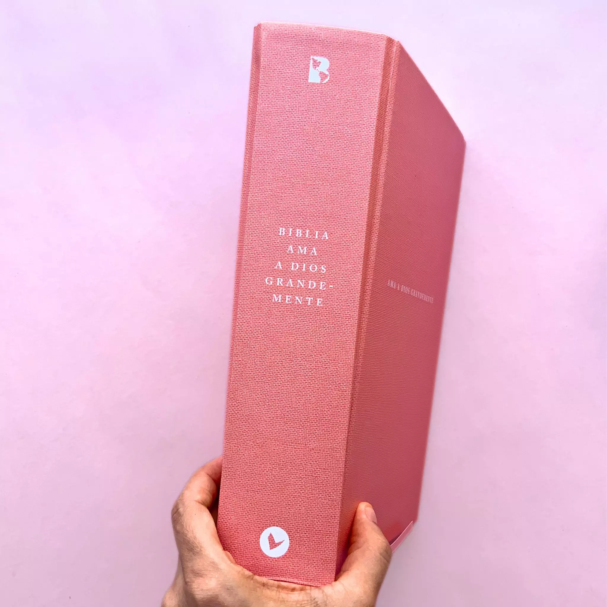 Biblia NBLA Ama a Dios grandemente (5)