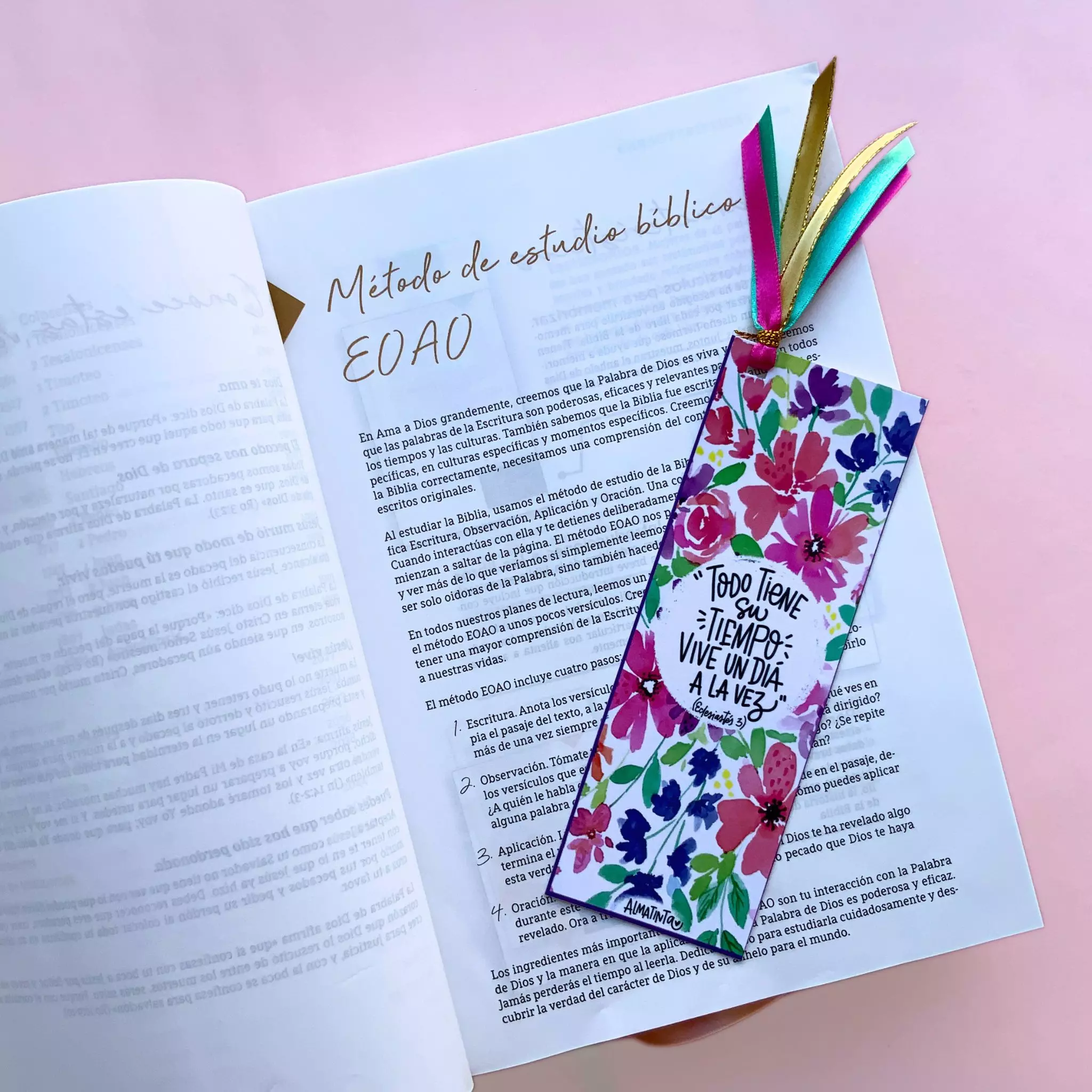 Biblia NBLA Ama a Dios grandemente (6)