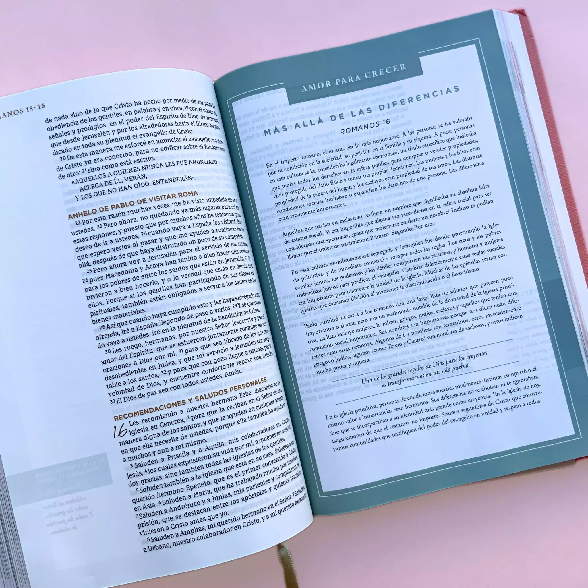 Biblia NBLA Ama a Dios grandemente (7)