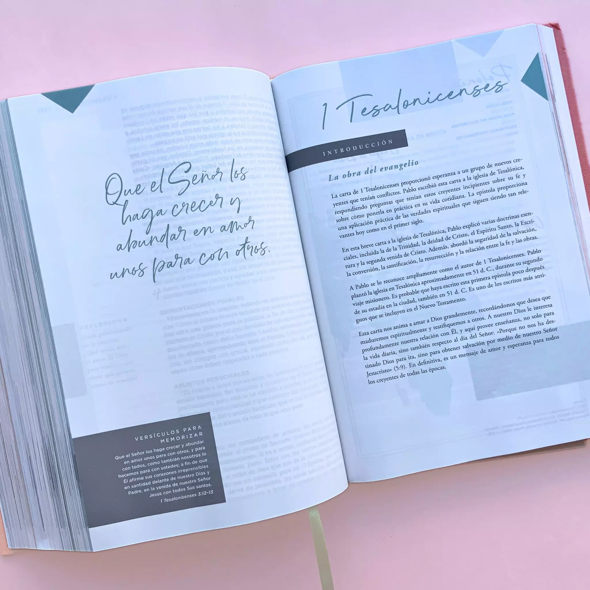 Biblia NBLA Ama a Dios grandemente (8)