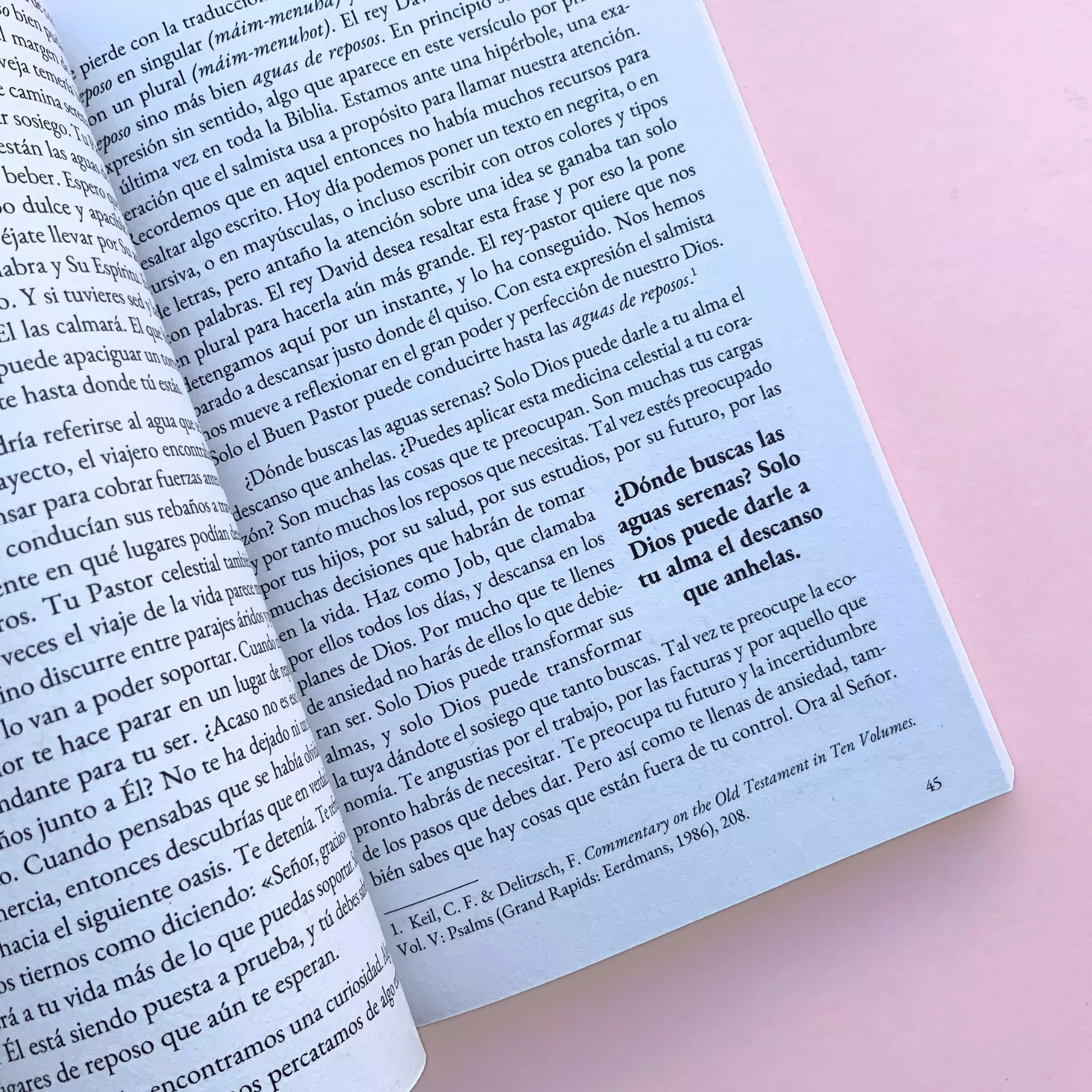 Libro Devocional de 31 días - Conforta Mi Alma (6)