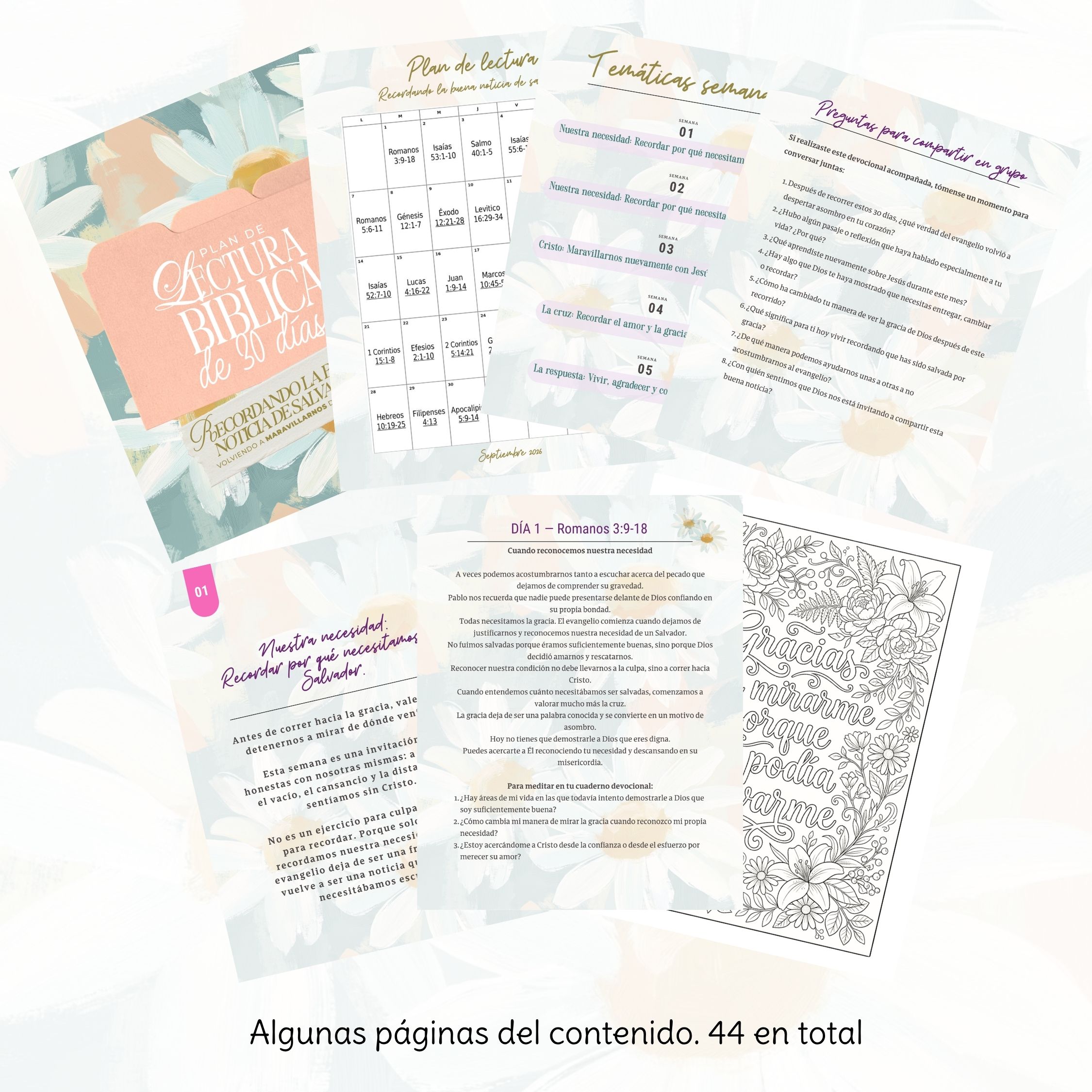 PLAN DE LECTURA BÍBLICO PARA WEB