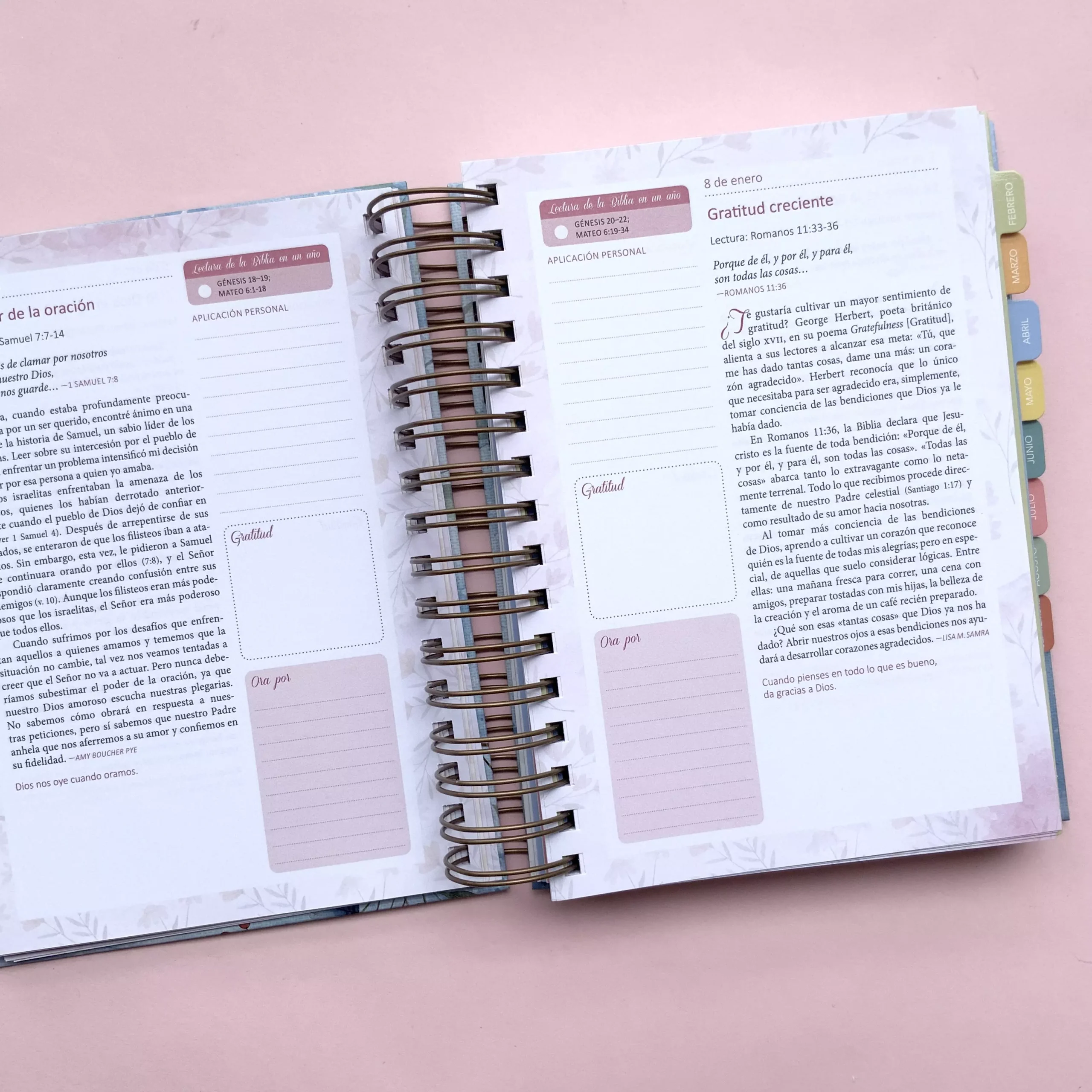 Agenda Devocional Mi plan con Dios (7)
