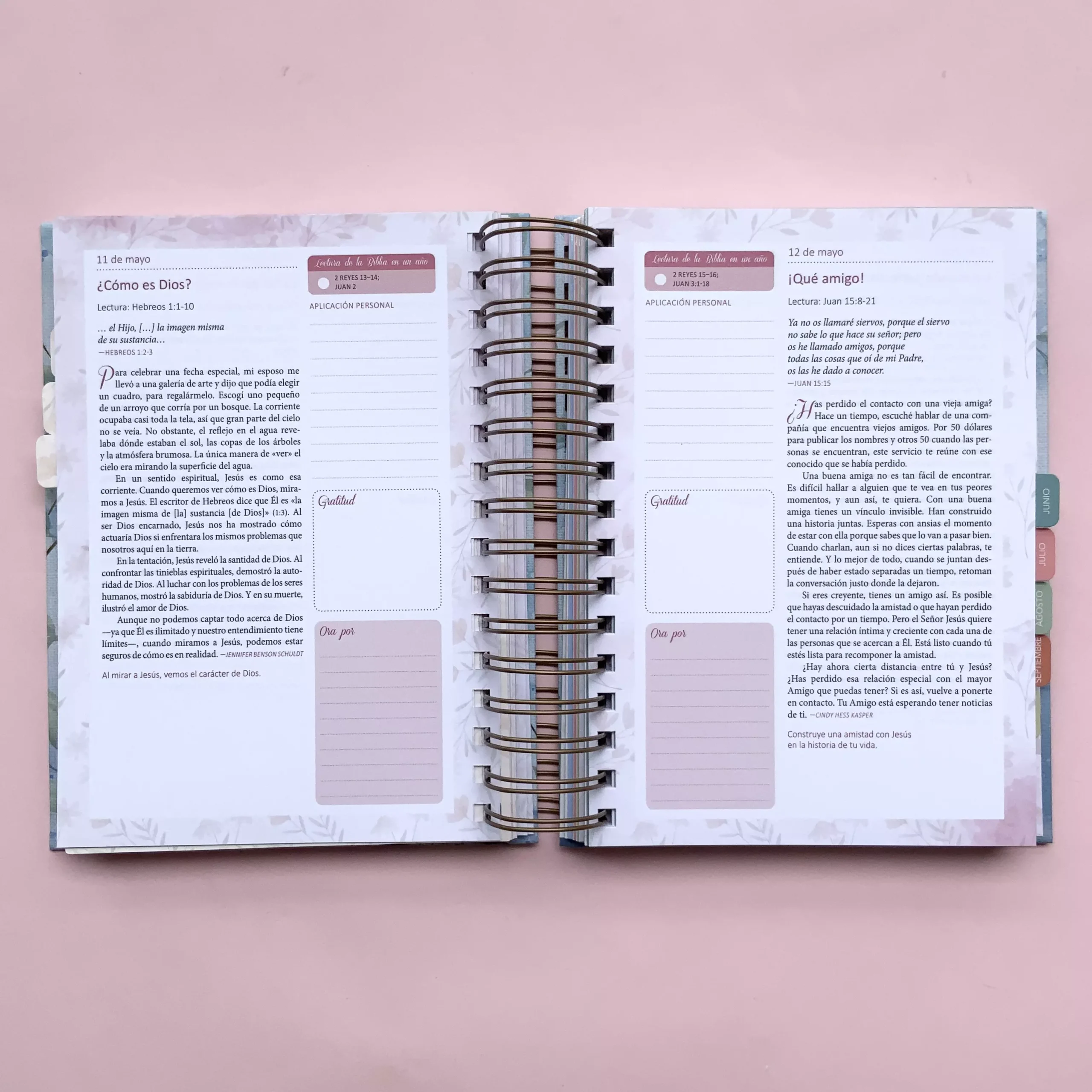 Agenda Devocional Mi plan con Dios (8)